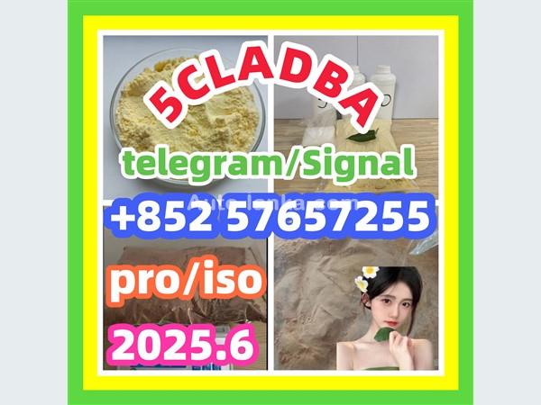 109555-87-5 5CLADBA Eutylone 802855-66-9   407-97-6