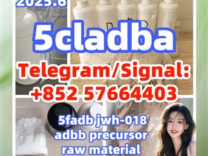109555-87-5 5cladba 5fadb adbb jwh-018 top cannabinoid adb-butinaca apvp molly K2 precursor