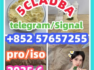 109555-87-5 5CLADBA Eutylone 802855-66-9   407-97-6