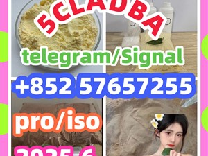 109555-87-5 5CLADBA Eutylone 802855-66-9   407-97-6