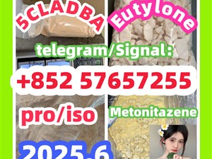 109555-87-5 5CLADBA Eutylone 802855-66-9   407-97-6