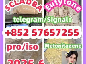 109555-87-5 5CLADBA Eutylone 802855-66-9   407-97-6