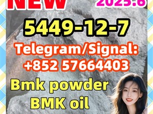 BMK New 5449-12-7 Glycidic Acid Bmk powder 2050-07-9 20320-59-6 isotonitazene