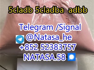 5cladba 5cladb 5CL-ADB free sample vendor