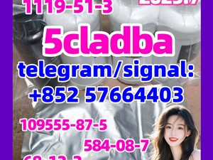 High Quality 5cladba Precursor Raw Material 5cl-Adb-A Raw Material  1119-51-3 584-08-7 109555-87-5 68-12-2