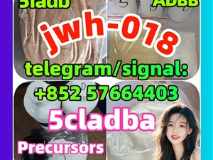5cladba 5fadb adbb jwh-018 Raw Materials precursor  Stock 6Cladba Yellow And White Powder 5F-MDA-194fmdmb