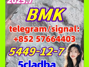 New BMK 5449-12-7 glycidyl acid source factory 5cladba 5fadb adbb 71368-80-4 Bromazolam
