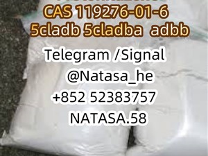 Protonitazene CAS 119276-01-6