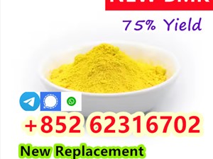 High quality 99% CAS 5449-12-7 BMK Glycidic Acid Sodium Salt Powder