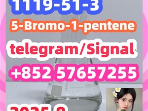 1119-51-3 5-Bromo-1-pentene