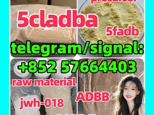 strongest 5cladba adbb jwh-018 precursor  5fadb Raw Materials precursor  Cannabinoids k2 molly dmf