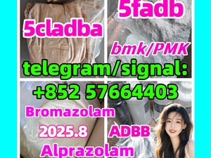 5cladba adbb bromazolam 71368-80-4  5fadb jwh-018 New BMK 5449-12-7