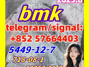 Bmk Oil Acid Cas: 5449-12-7 New Bmk Powder Strong Effect Factory Large Supply Bmk