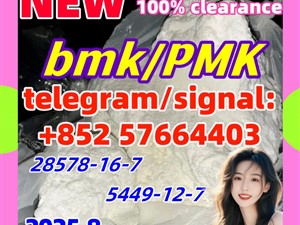 BMK 5449-12-7 PMK CAS49851-31-2 Chemical raw materials