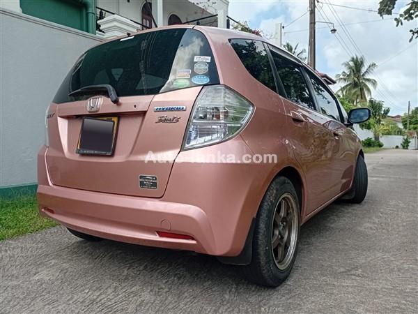 Honda fit GP 1 for rent