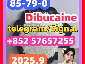 85-79-0 Dibucaine