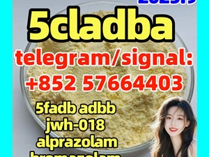 5cladba 5cladbb 5fdab protonitazene Bromazlam Eueutylone/molly pmk BDO BMK 3mm 3cmc 4mmc
