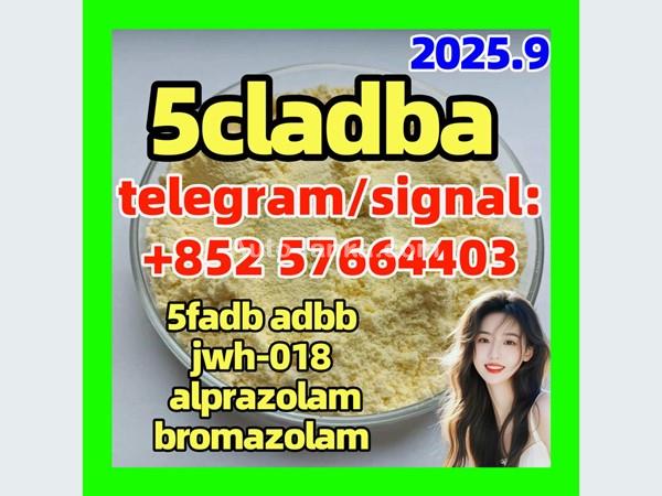 adbb 5fadb 5cl-adb-a 5cladb Good supplier Chart by 5cladba adbb 5fadb 5f-adb 5cladb