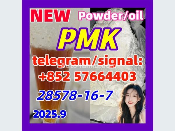 PMK 28578-16-7 New PMK Powder oil Ethyl Glycidate 1451-82-7 51-05-8
