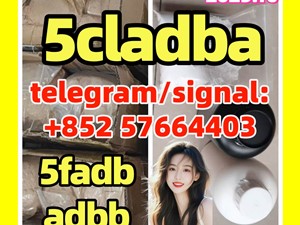 5cladba Original Product Name 5clAdba Synonyms 5clAdba CAS NO. 137350-66-4 Purity