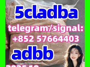 Raw materials 5CL-ADB supplier 5cladba 5cladb vendor in stock