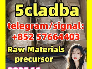 5cladba raw material 5CL-ADB-A precursor raw 5cladba 5f adb 4fadb