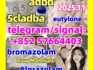 eutylone 802855-66-9 bromazolam 71368-80-4 Benzodiazepines 5cladba adbb