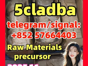 5cladba 5CLADBA 5CL 5CL-adb-a 4fadb ,cas1119-51-3