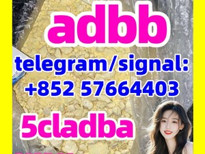 5cladba raw material 5CL-ADB-A precursor raw 5cladba 5f adb