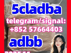 5cladb/ 5CLADBA/ Adbb/ 5fadb / 5cl-adb-a /5f-ADB 43120-28-1 PowerPoint Presentation