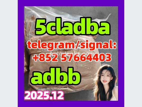 5cl 5cladba best cannabinoid 5cladba precursor raw 5cl-adb-a