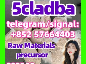 5cl Yellow Powder 5cladba 5cladba 5CL-ADB-A 5F-Adb