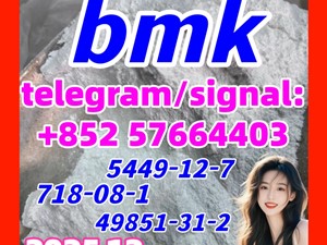 BMK Glycidic Acid (sodium salt) CAS 5449-12-7