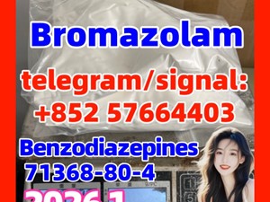 CAS:71368-80-4 Bromazolam