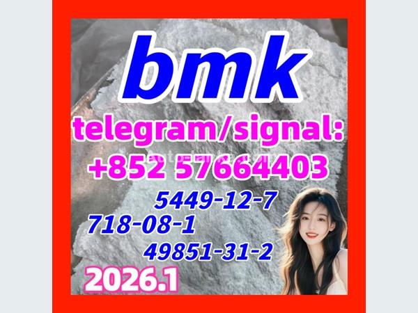 cas 5449-12-7 BMK Powder glycidate Bmk Glycidic Acid -