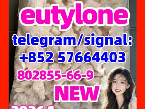 Wholesale eu cas 802855-66-9 Eutylone white crystal