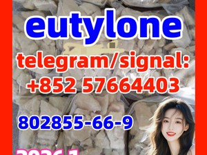 Eutylone Bk-ebdb Cas 802855-66-9/17764-18-0 at Best Price
