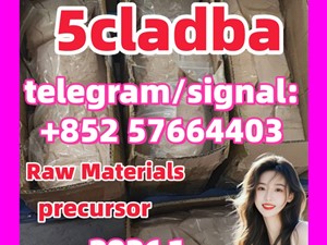 5cladba raw material 5CL-ADB-A precursor raw 5cladba 5f adb