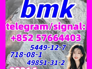CAS 5449-12-7 BMK Glycidic Acid sodium salt 99%
