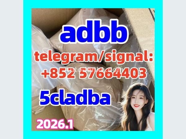 5cladb 5cladba 5cl 5cl Adb Strongest Cannabinoid In Stock From China at Best Price