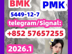 BMK Glycidic Acid sodium salt CAS 5449 - 12 - 7