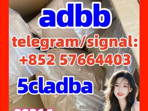 99% Powder 5cladba 5cladbb 5cl Adbb 门口集合