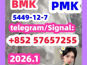 BMK Glycidic Acid sodium salt CAS 5449 - 12 - 7