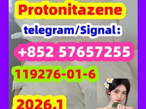 Protonitazene CAS 119276-01-6 High quality and low price
