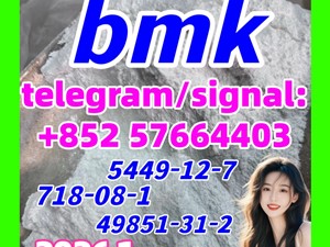 CAS 5449-12-7 BMK Glycidic Acid (sodium salt) 99.9% Purity  49851-31-2  718-08-1 10250-28-7  103-79-7