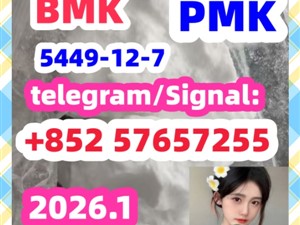BMK Glycidic Acid sodium salt CAS 5449 - 12 - 7