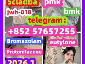 BMK pmk Glycidic Acid sodium salt CAS 5449 - 12 - 7