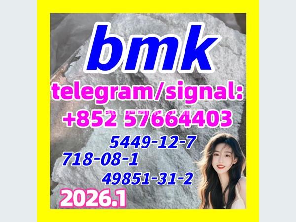 5449-12-7 New BMK Glycidic Acid
