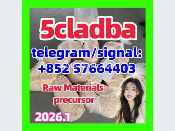 5cladba 5cl yellow powder 5cladba from best supplier