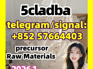 5cladb 5CL-ADB-a High quality Powder 5cladba
